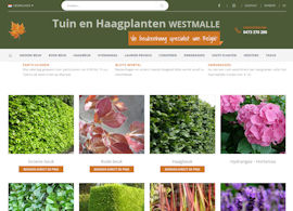 Tuin en haagplanten Westmalle Aanmaak website